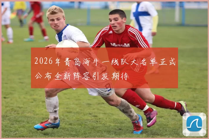 2026年青岛海牛一线队大名单正式公布全新阵容引发期待